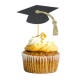 Graduation Cake Topper | Wholesale Cake Supplies